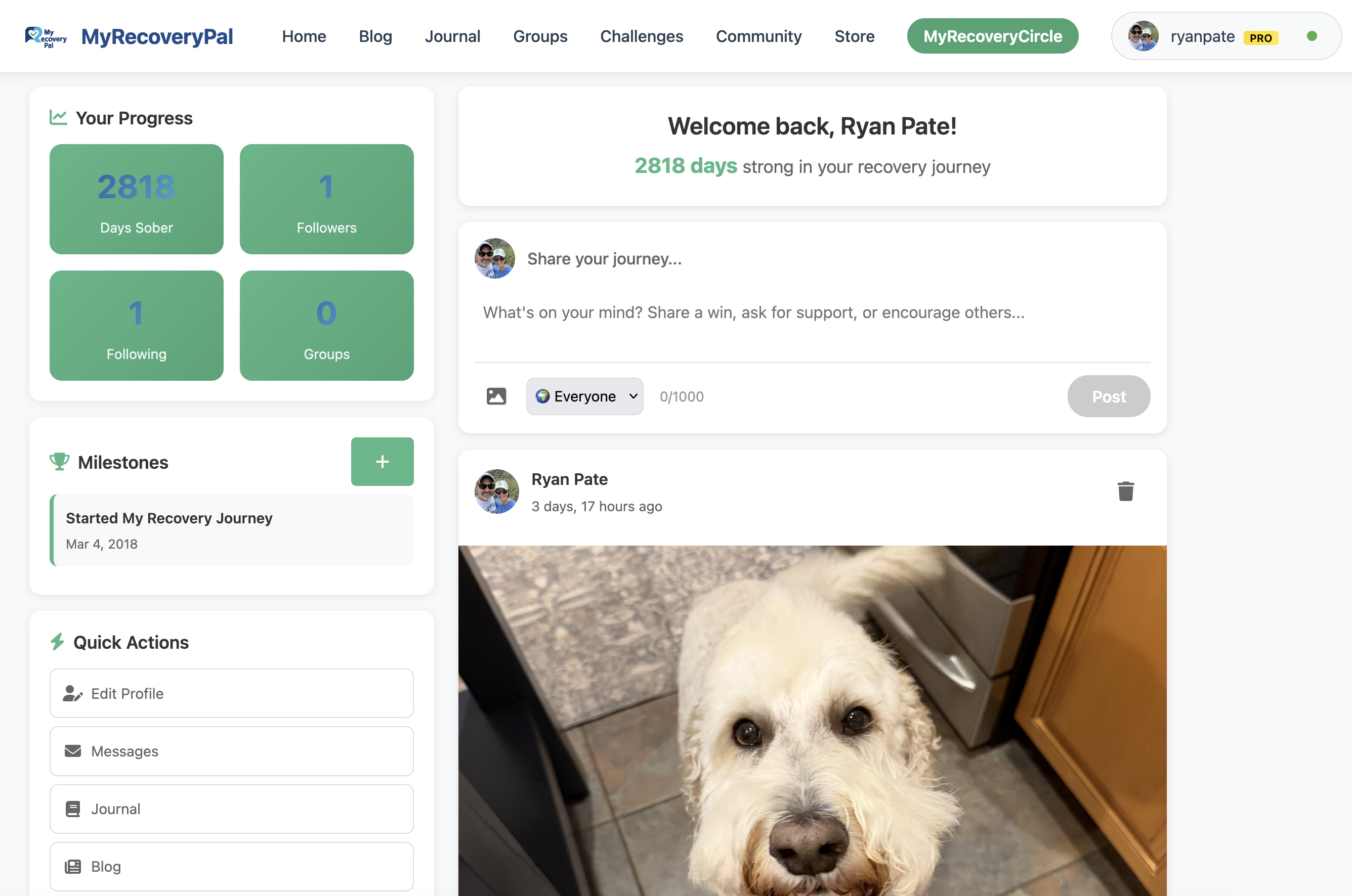 Connect with a supportive community feed